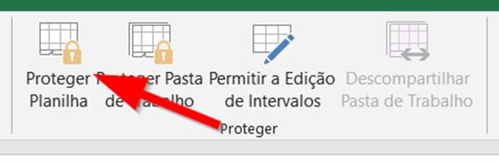 Clique no botão Proteger Planilha