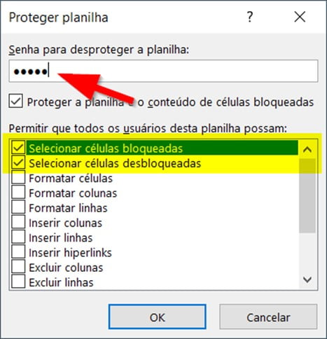 Defina uma senha para proteção e confirme a senha