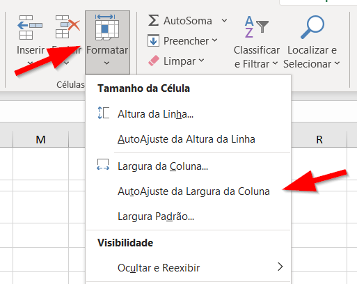 Clique na opção AutoAjuste da Largura da Coluna