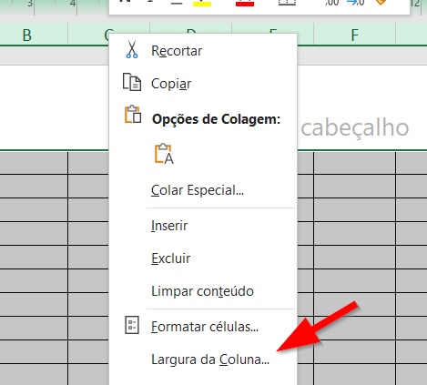 Clique em Largura da Coluna