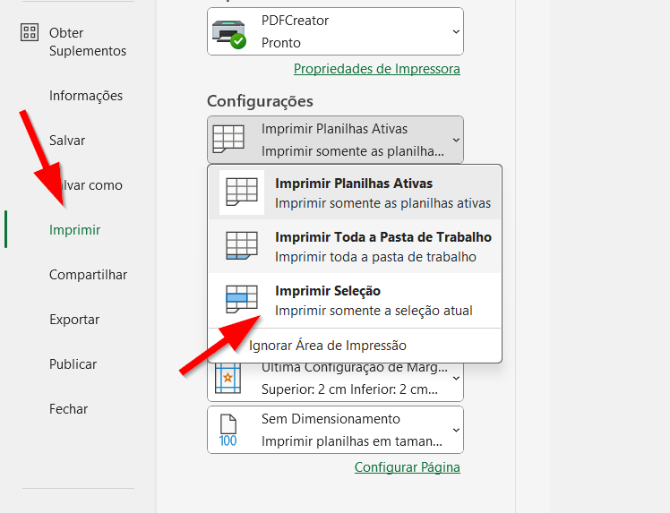 Selecione a opção Imprimir Seleção